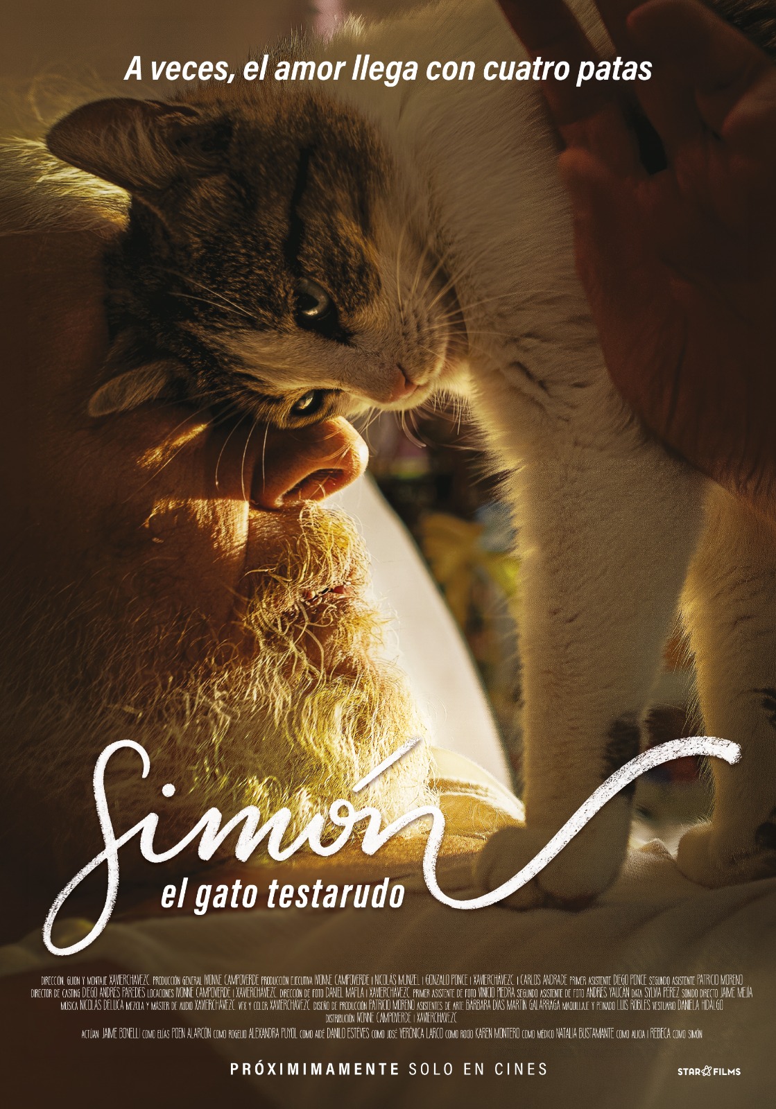 SIMÓN: EL GATO TESTARUDO